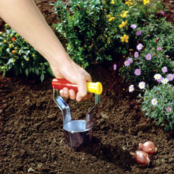 bulb-planter-seeds-and-bulbs-ireland-clarenbridge-online-garden-centre-4