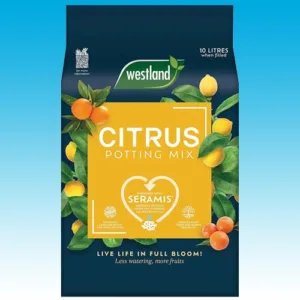 Westland Citrus Potting Mix - a specialized blend designed for potting or repotting your citrus plants in Ireland.