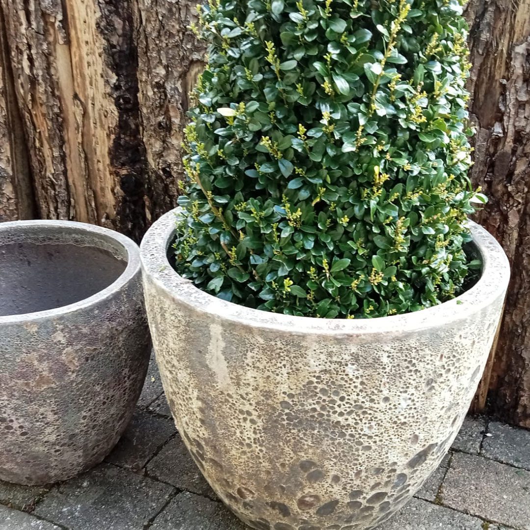 Melbourne Lava Pot Brown Clarenbridge Garden Centre